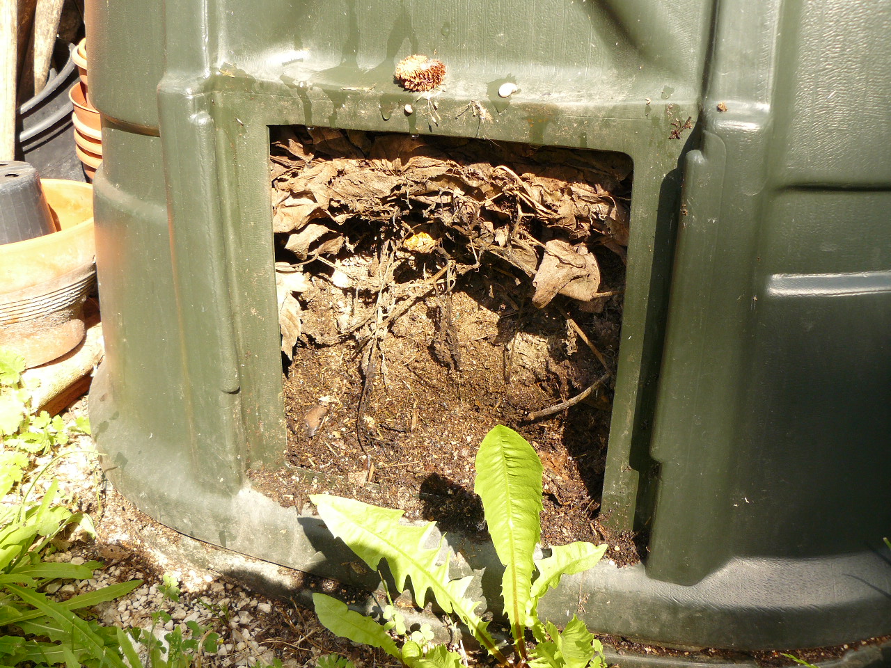 Compost maturo